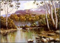 George Phillips - Australian Bush